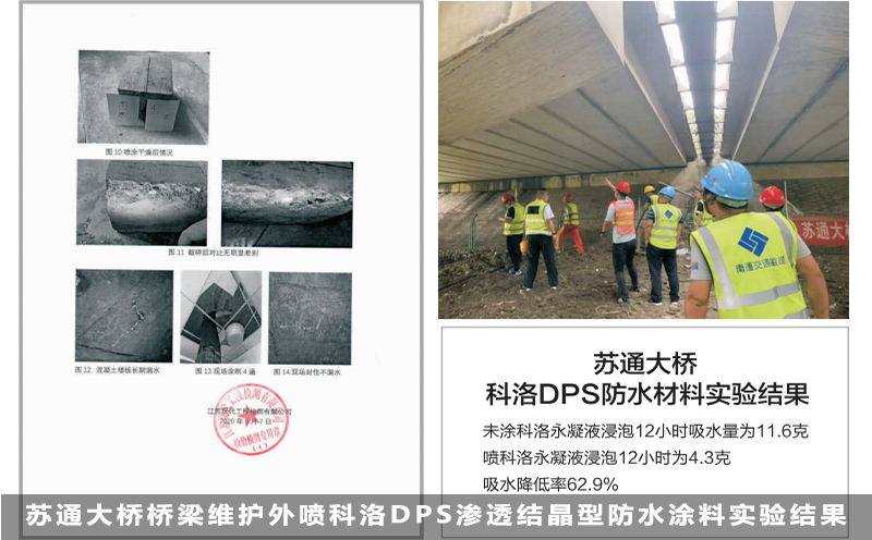 蘇通大橋橋梁維護外噴科洛DPS滲透結晶型防水涂料實驗結果a